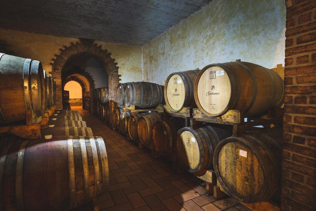 Wine Residence Cattunar ブルトニグラ エクステリア 写真