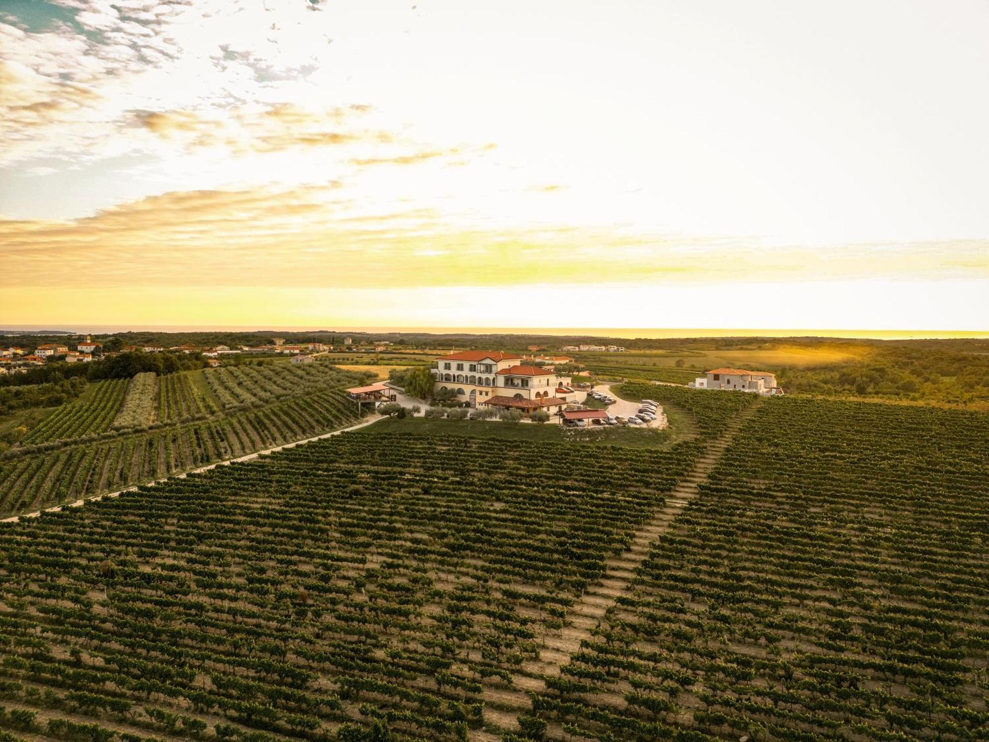Wine Residence Cattunar ブルトニグラ エクステリア 写真